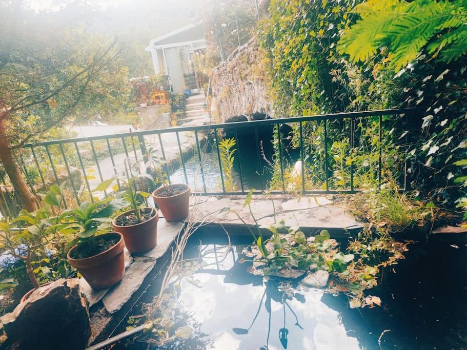Gite Et Jardin En Bord De Riviere Saumane Exteriér fotografie